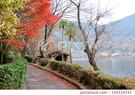 Autumn leaves of Imutaike Autumn leaves of Imutaike 109326341