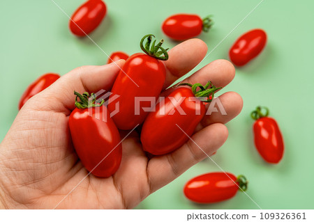 Raw Ornela cherry tomatoes on a woman handpalm over green background. Raw Ornela cherry tomatoes on a woman handpalm over green background. 109326361