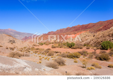 Bolivian canyon near Tupiza,Bolivia 109326886