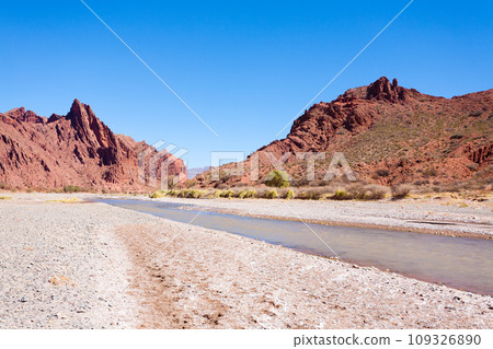 Bolivian canyon near Tupiza,Bolivia 109326890