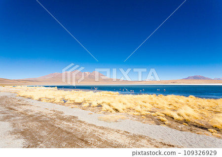 Laguna Canapa view, Bolivia 109326929