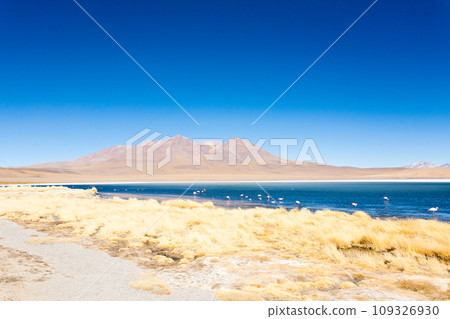 Laguna Canapa view, Bolivia 109326930