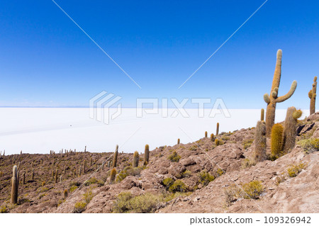 Salar de Uyuni view from Isla Incahuasi 109326942