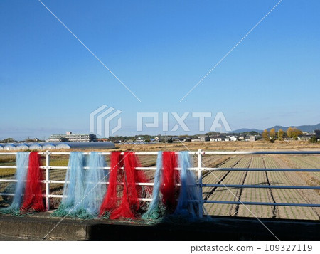 Daiake Town, Tamana City, Kumamoto Prefecture, fishing nets and field scenery 109327119