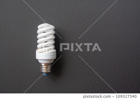Energy saving light bulb on a black background 109327340