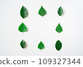 green leaves square frame banner top view isolated on white 109327344