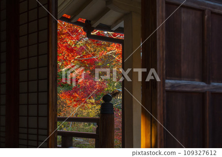 京都嵯峨野的秋天：寶鏡院的秋葉令人驚嘆 109327612