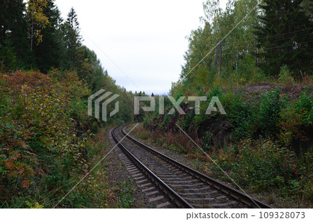 View of railway tracks with green tree. Travel and transportation concept. View of railway tracks with green tree. Travel and transportation concept. 109328073