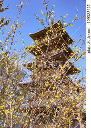 四國聖地第70號寺本山寺 109328215