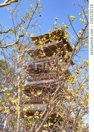 Shikoku Sacred Site No. 70 Temple, Honzanji Temple Shikoku Sacred Site No. 70 Temple, Honzanji Temple 109328218