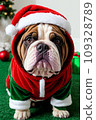 Bulldog wearing Santa hat and sweater on green carpeted floor with Christmas decorations around 109328789