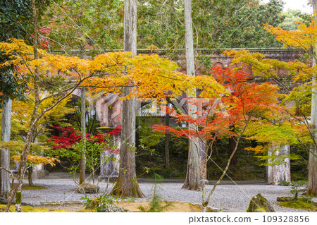Kyoto in autumn: A collaboration of Suirokaku and autumn leaves on the grounds of Nanzenji Temple 109328856