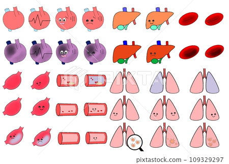 Simple heart, internal organs, and blood vessels illustration Simple heart, internal organs, and blood vessels illustration 109329297