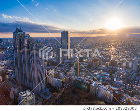 (東京)下午從東京都政府大樓觀景台看到的東京城市景觀 (東京)下午從東京都政府大樓觀景台看到的東京城市景觀 109329308