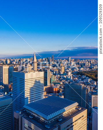 (東京)下午從東京都政府大樓觀景台看到的東京城市景觀 (東京)下午從東京都政府大樓觀景台看到的東京城市景觀 109329309