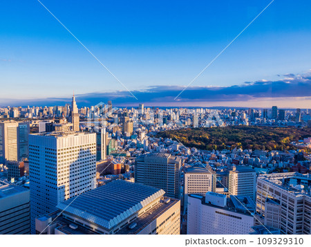 （東京）下午從東京都政府大樓觀景台看到的東京城市景觀 109329310