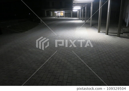 晚上通往體育館的路燈 109329504