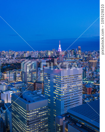 (Tokyo) Evening view of Tokyo cityscape from the observation deck of the Tokyo Metropolitan Government Building (Tokyo) Evening view of Tokyo cityscape from the observation deck of the Tokyo Metropolitan Government Building 109329810
