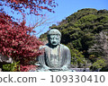 Kamakura Great Buddha and autumn leaves 109330410