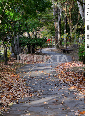 Walking path of autumn park Walking path of autumn park 109330529