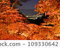 Autumn leaves illumination of Mt. Daisen 109330642