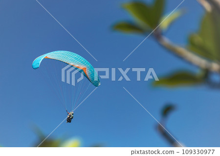 Paraglider in the sky. The sportsman flying on a paraglider. 109330977