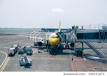 在機場看到的飛機 在機場看到的飛機 109331873