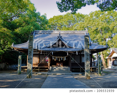 Munakata Shrine precincts scenery Munakata Shrine precincts scenery 109331939