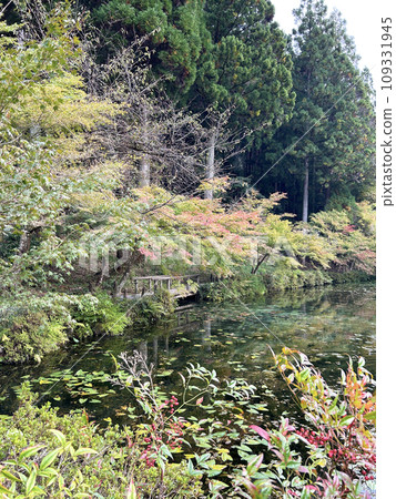 莫內的池塘染上了秋天的色彩 109331945