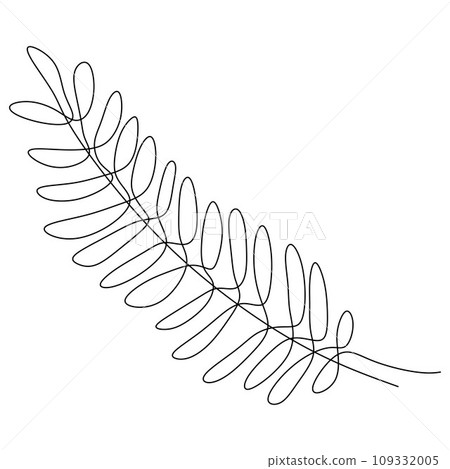 fir, branch, vector 109332005