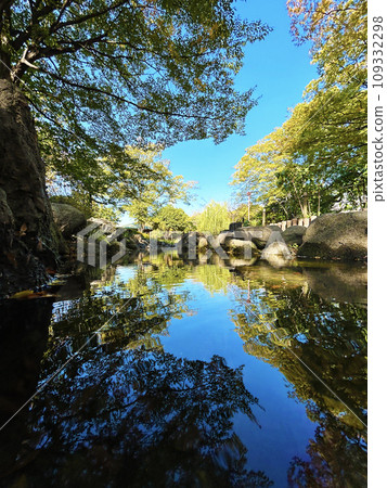 A beautiful park with trees reflecting in the pond A beautiful park with trees reflecting in the pond 109332298