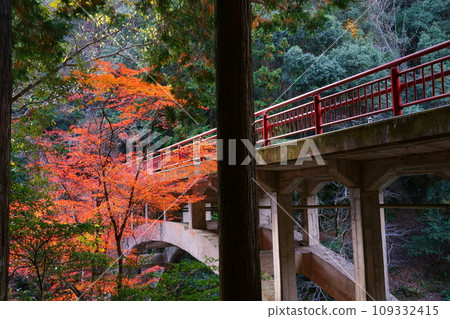 紅色橋樑和秋葉 紅色橋樑和秋葉 109332415