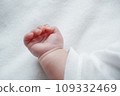 baby newborn hands 109332469