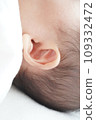 Baby Newborn ears with downy hair 109332472