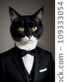 a cat in a tuxedo is looking at the camera while wearing a suit and bow tie with a black background 109333054