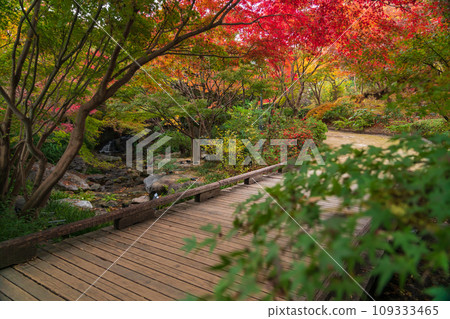 Autumn Swan Garden (Nagoya City, Aichi Prefecture) 109333465