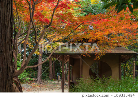 Autumn Swan Garden (Nagoya City, Aichi Prefecture) Autumn Swan Garden (Nagoya City, Aichi Prefecture) 109333484