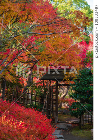 Autumn Swan Garden (Nagoya City, Aichi Prefecture) 109333497