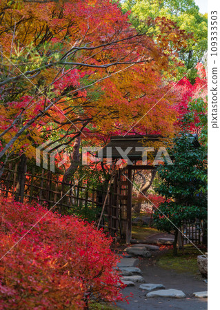 Autumn Swan Garden (Nagoya City, Aichi Prefecture) 109333503
