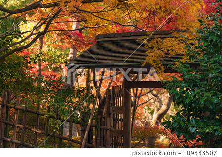 Autumn Swan Garden (Nagoya City, Aichi Prefecture) 109333507