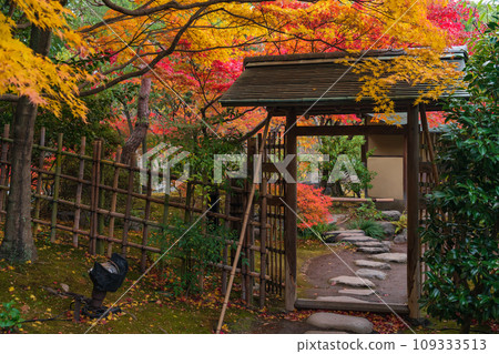 Autumn Swan Garden (Nagoya City, Aichi Prefecture) 109333513