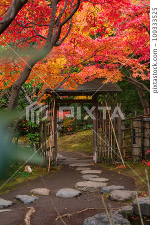 秋天的天鵝花園（愛知縣名古屋市） 109333525