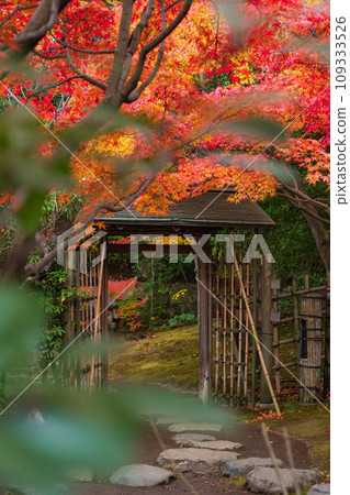 秋天的天鵝花園（愛知縣名古屋市） 109333526