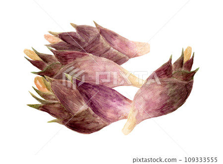 Hand-painted watercolor illustration of stacked flowers Hand-painted watercolor illustration of stacked flowers 109333555