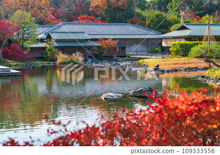 Autumn Swan Garden (Nagoya City, Aichi Prefecture) Autumn Swan Garden (Nagoya City, Aichi Prefecture) 109333556