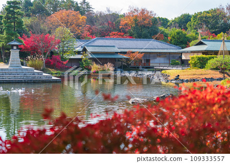 Autumn Swan Garden (Nagoya City, Aichi Prefecture) Autumn Swan Garden (Nagoya City, Aichi Prefecture) 109333557