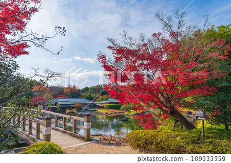 秋天的天鵝花園（愛知縣名古屋市） 109333559