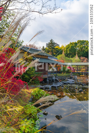 Autumn Swan Garden (Nagoya City, Aichi Prefecture) Autumn Swan Garden (Nagoya City, Aichi Prefecture) 109333562