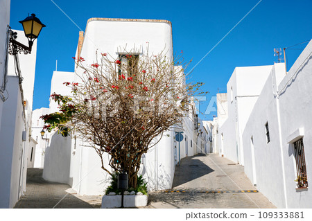 Beautiful streets of Vejer de la Frontera, Spain, Andalusia region, Costa de la Luz, Cadiz district, White Towns, Iberian Peninsula, Old town. Ruta de los Pueblos Blancos Beautiful streets of Vejer de la Frontera, Spain, Andalusia region, Costa de la Luz, Cadiz district, White Towns, Iberian Peninsula, Old town. Ruta de los Pueblos Blancos 109333881