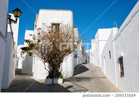 Beautiful streets of Vejer de la Frontera, Spain, Andalusia region, Costa de la Luz, Cadiz district, White Towns, Iberian Peninsula, Old town. Ruta de los Pueblos Blancos 109333884